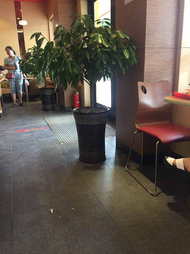 老潼关肉夹馍(东风路店)