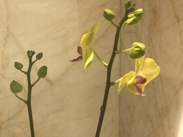 京康国际酒店牛排自助餐