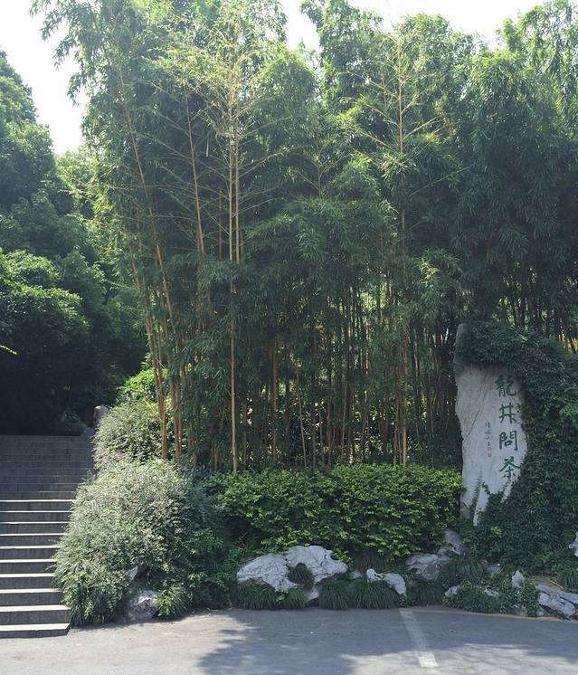 十八棵（老龙井）御茶园(老龙井店)