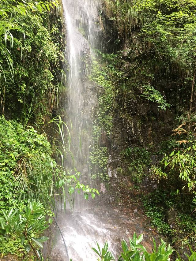 岭上人家岭峰古楼烤全羊