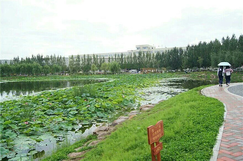 观澜湖公园