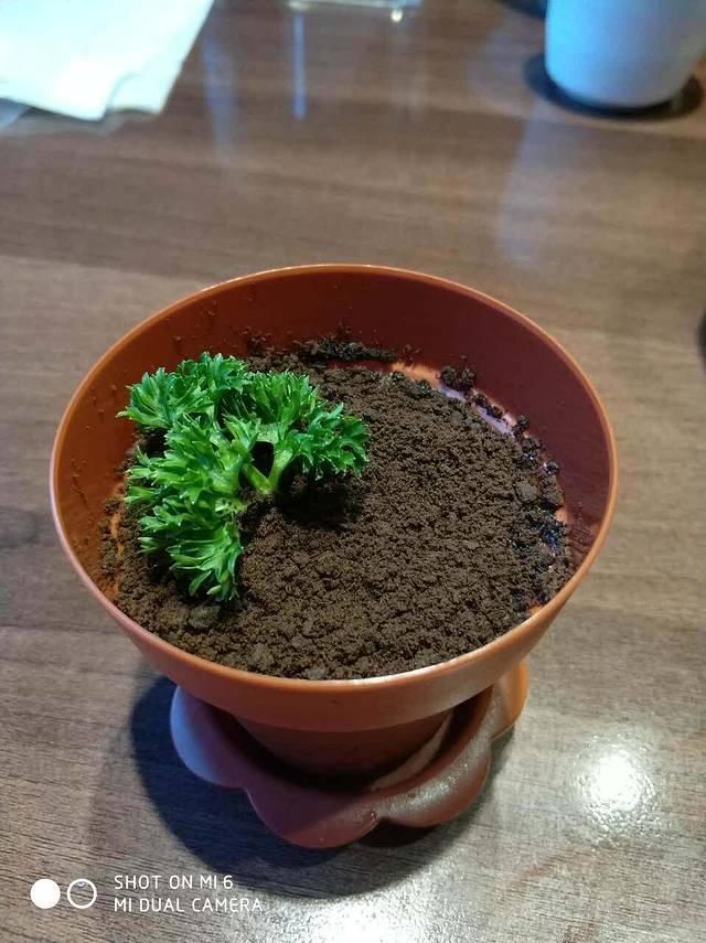 麻辣空间·清油火锅(尚品店)