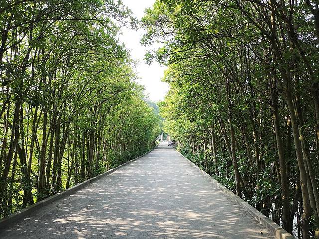 安江农校纪念园