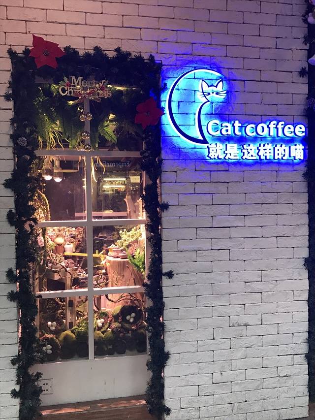 猫主题·就是这样的喵(越秀店)