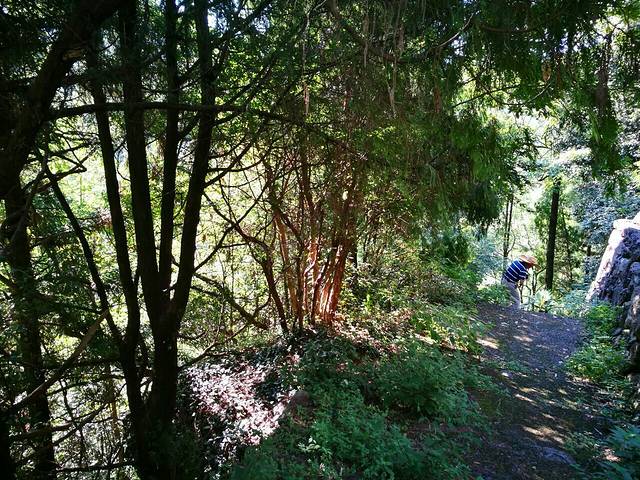 西天目林海农庄