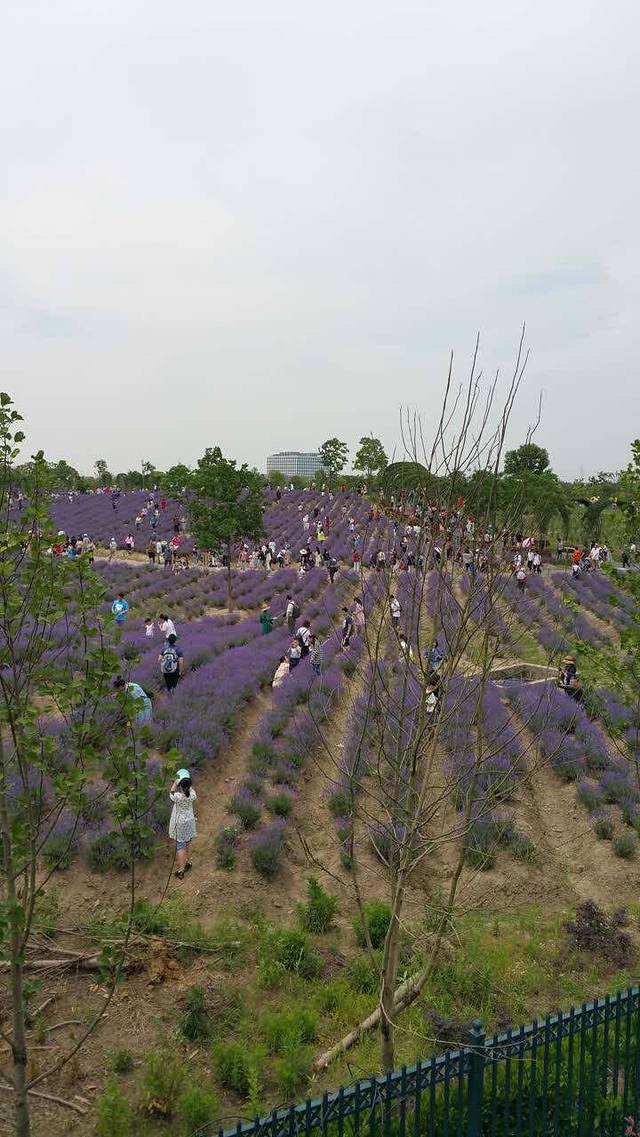 肯德基(祝桥店)