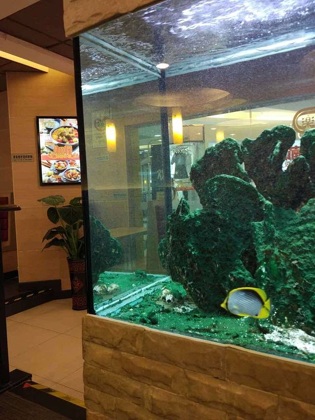 大家乐(佛山大沥伟业店)