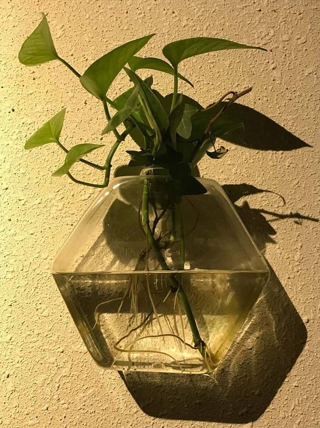 悠澜咖啡(丁卯店)