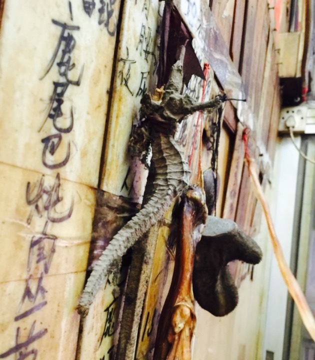 阿头炖品店(永泰店)