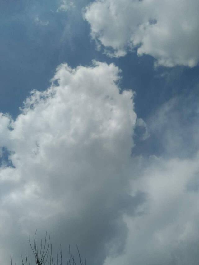 杨国福麻辣烫(第二社区店)