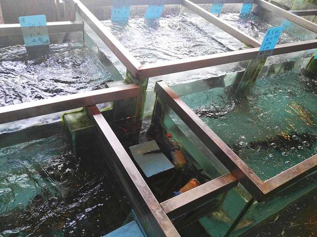 澄湖之星·大闸蟹私房菜·蟹粉面(阳澄湖店)