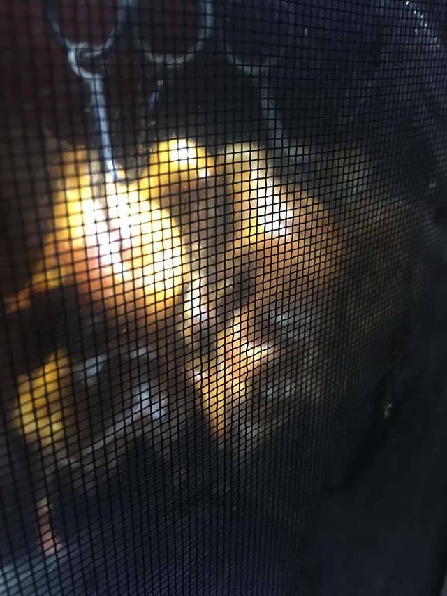 京兆刘福记·北京烤鸭(乐清南大街店)