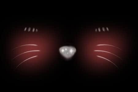 华莱士·全鸡汉堡(阳信店)