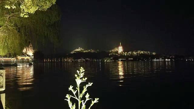 杭州西湖柳莺里酒店·闻莺厅