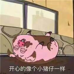 铁头凉皮(东一路店)