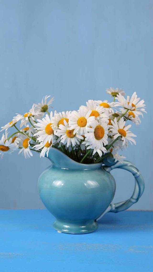 肯德基(幸福广场店)