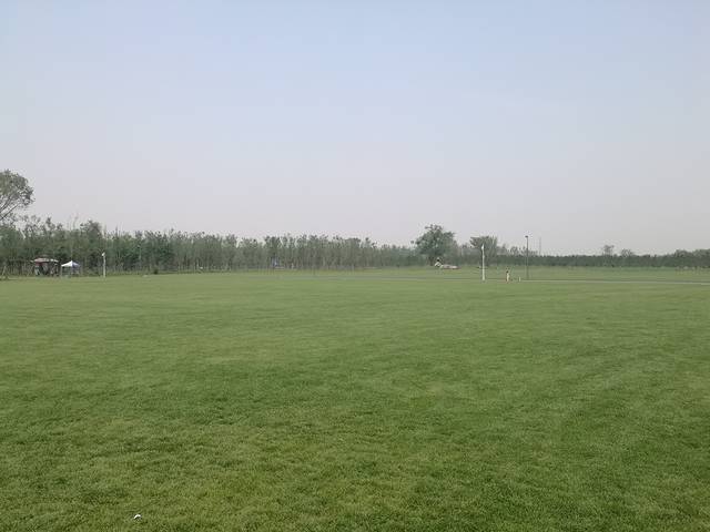 广利河森林湿地公园