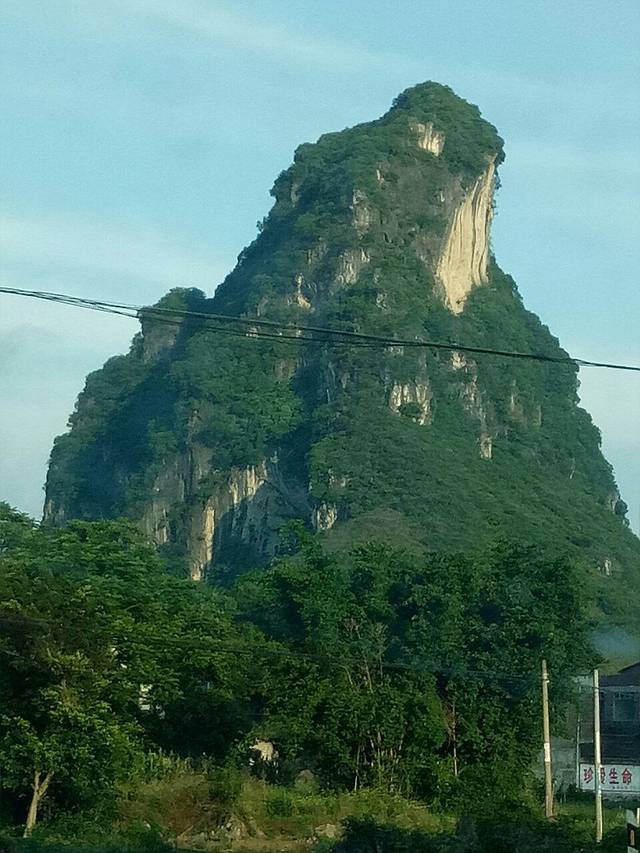 刘记猪脚王家味馆