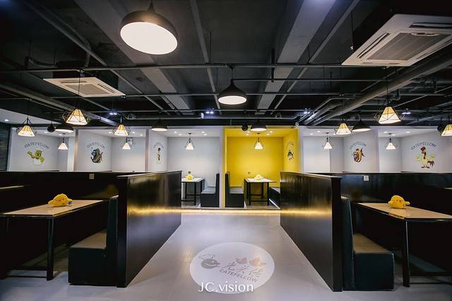 光头佬鸡汤窝(兴化店)