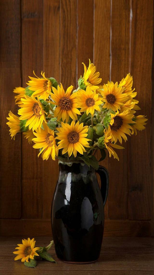 南京花卉西市场