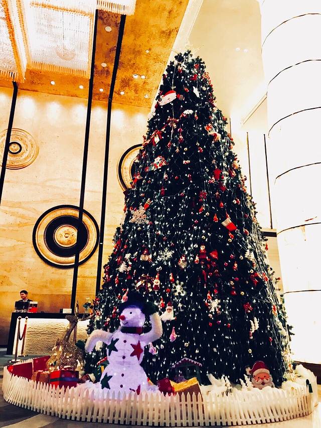 蚌埠富力万达嘉华酒店·自助餐