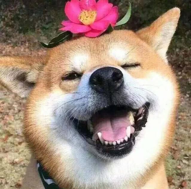 正新鸡排·炸鸡烧烤(一拂店)