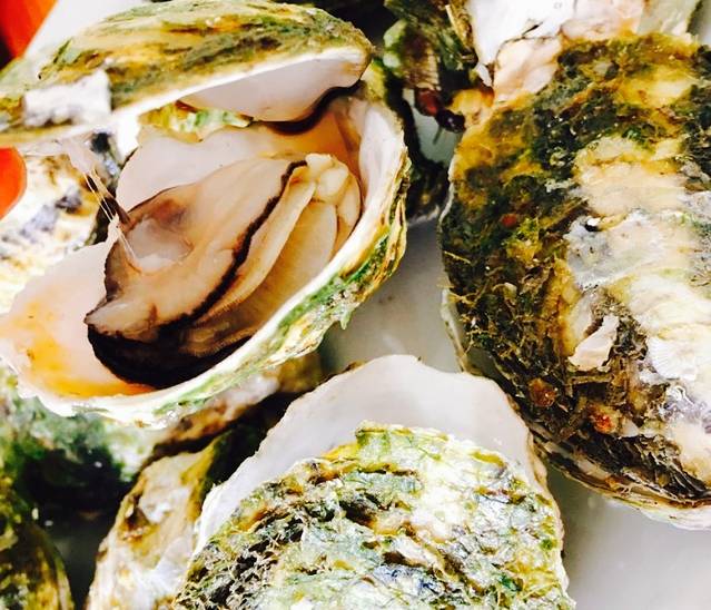 东海湾渔庄(老字号)