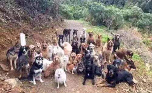 福建馄饨王(学士路店)