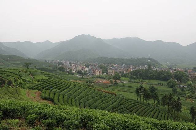 听风阁农家私房菜茶楼(龙坞店)