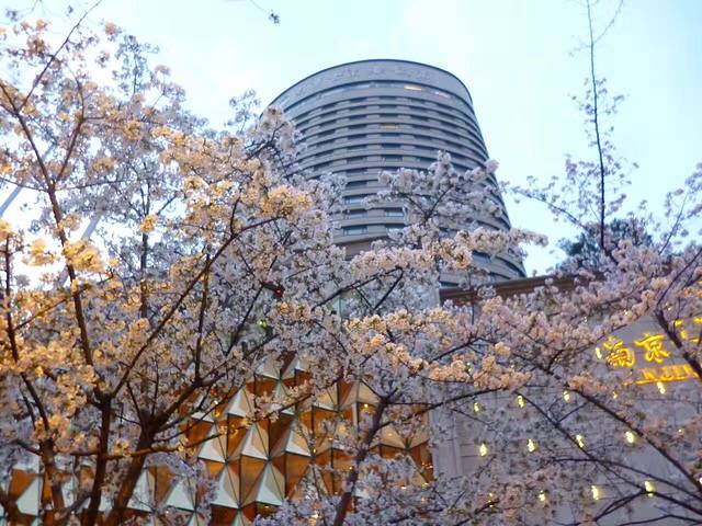 南京古南都饭店·遂心遂意自助餐厅