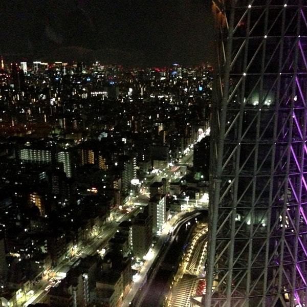 天空LOUNGE TOP of TREE