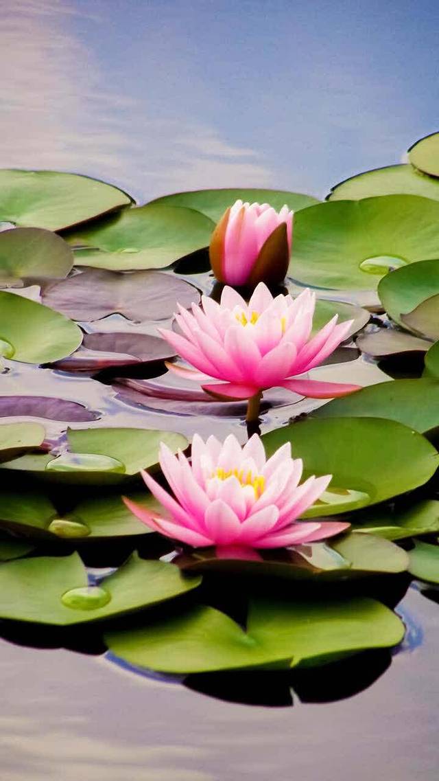 阿香缘米线(曲阜百意店)