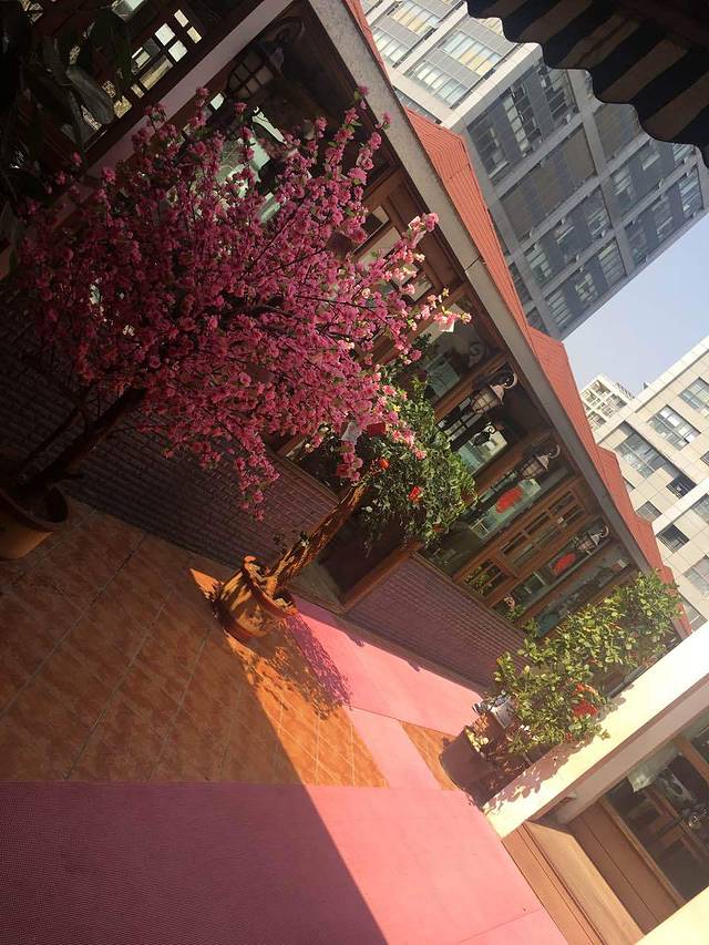 辰渝花园火锅(北辰店)