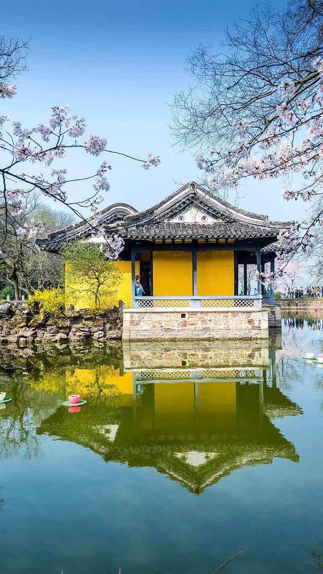 蒿家扒鸡(棋盘街店)