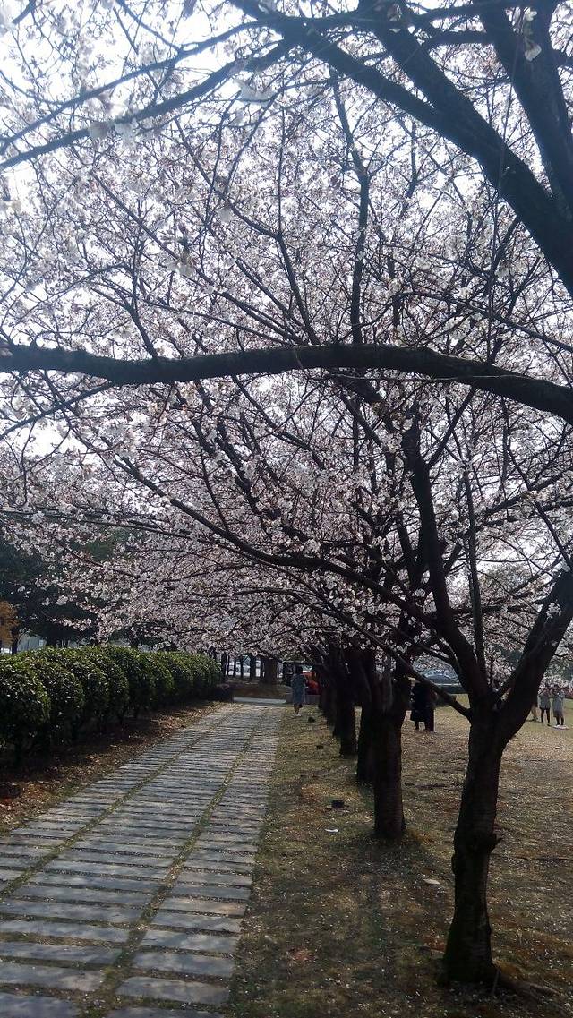 施光南音乐广场