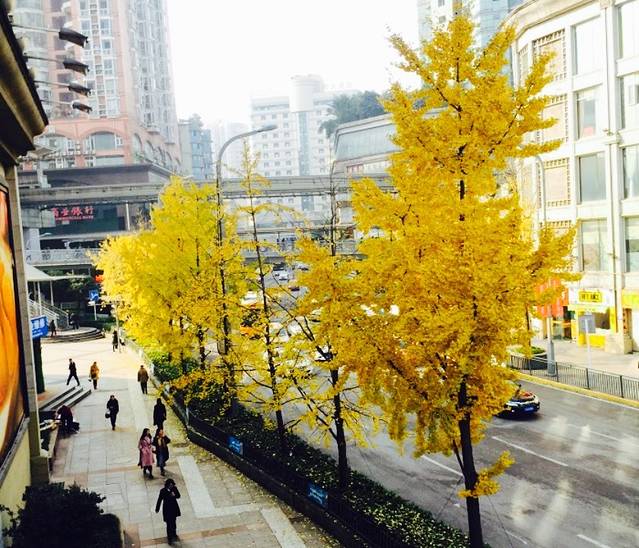 杨家坪步行商业区(杨家坪横街店)