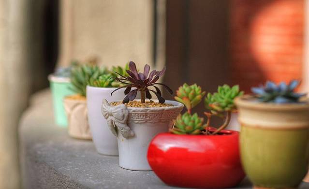 糖罐(富都大厦店)