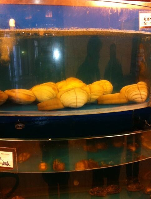 科信海鲜城(开发区店)