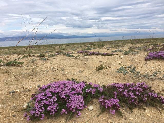 Khuzhirskiy Krayevedcheskiy Muzey Im. N.m.revyakina