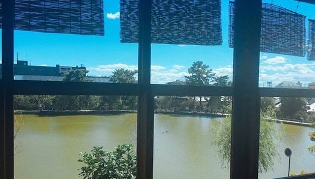 Sarusawaikeyanagi Tea House