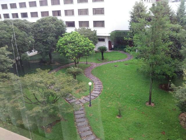 桂山华星酒店·餐厅