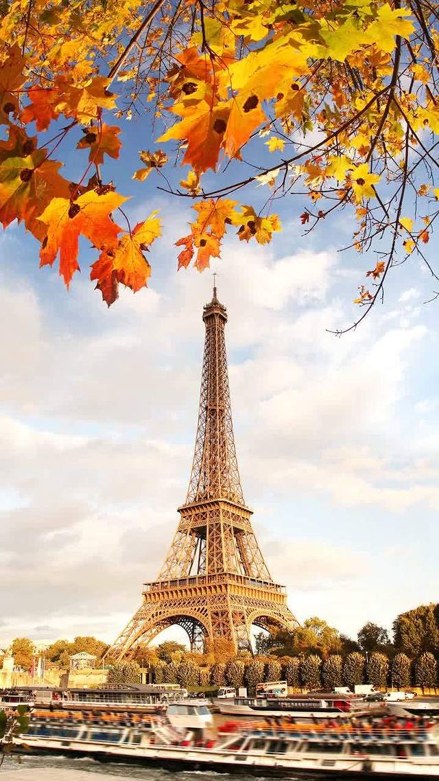 美丽家(天凝店)