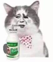 肯德基(湘潭新华隆店)