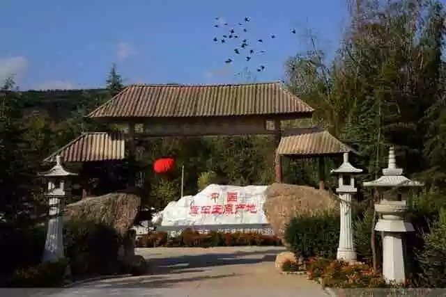 石艺园农家乐