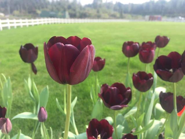 乡村大院(江北店)