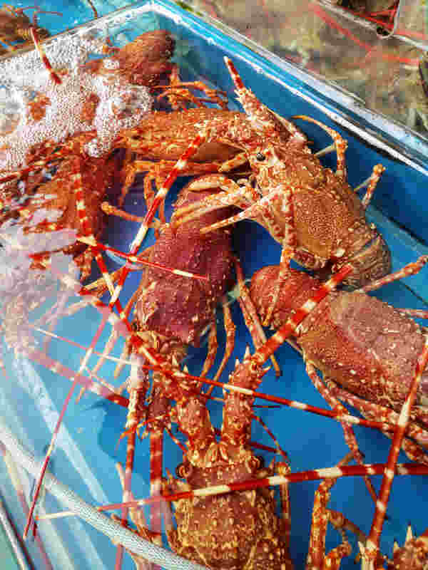 京深海鲜市场(光彩路店)