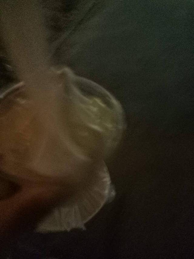 蜜雪冰城(张江店)