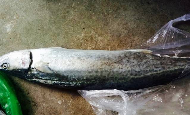 吉祥渔家菜馆(滨海公路店)