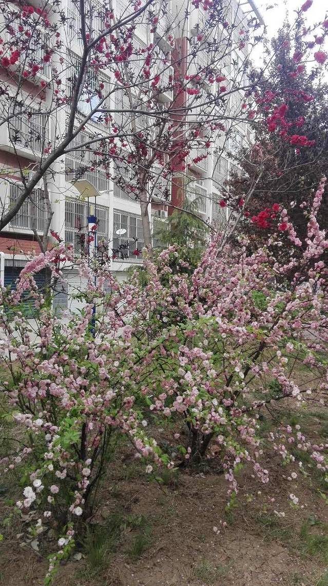 Tasty Love唐乐(凤凰城店)