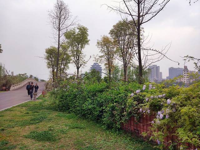 东坡城市湿地公园